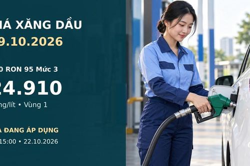 Giá xăng dầu hôm nay 29.10.2026: Dầu thế giới bật tăng
