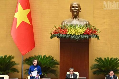 Nhà ở xã hội, nhà ở cho thuê là trụ cột chiến lược bảo đảm an sinh xã hội