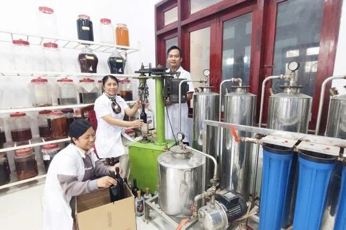 Khánh Hòa thu hút nhân tài