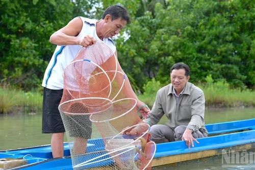 Hành động chiến lược vì một ngành tôm bền vững