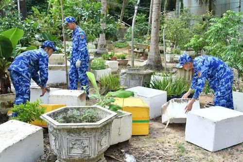 Bộ Tư lệnh Vùng Cảnh sát biển 4 chung tay cùng Phú Quốc dập dịch sốt xuất huyết