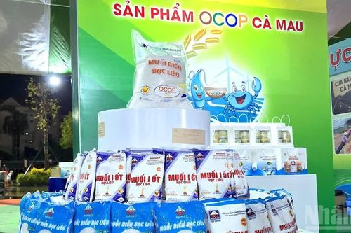 Cà Mau nâng chất, phát triển bền vững nghề muối di sản
