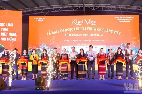 Quảng Ngãi tổ chức lễ hội sâm Ngọc Linh tại xã Măng Ri