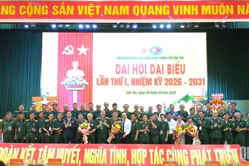 Hội Doanh nhân Cựu chiến binh TP Cần Thơ đặt chỉ tiêu giải quyết việc làm mới cho hơn 1.000 lao động