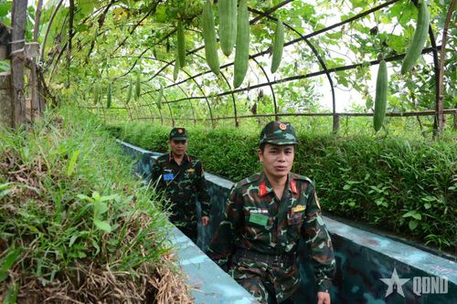 Sư đoàn 324 bảo đảm tốt hậu cần - kỹ thuật trong diễn tập tác chiến phòng thủ Quân khu 4