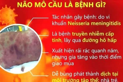 Cà Mau ghi nhận 2 ca mắc viêm não mô cầu, 1 người tử vong