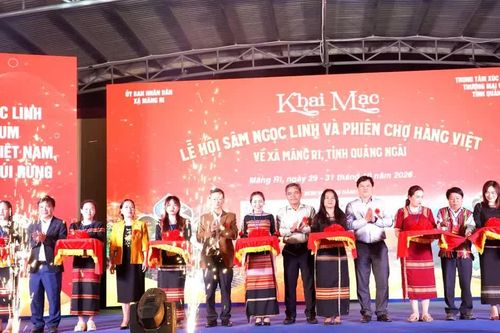 Khai mạc Lễ hội sâm Ngọc Linh và Phiên chợ hàng Việt tại tỉnh Quảng Ngãi
