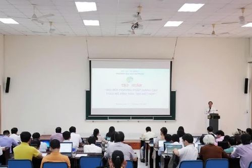 Làm mới chương trình đại học trước tác động của AI