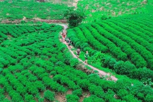 Du lịch Thái Nguyên 'làm mới' cách kể chuyện xứ trà
