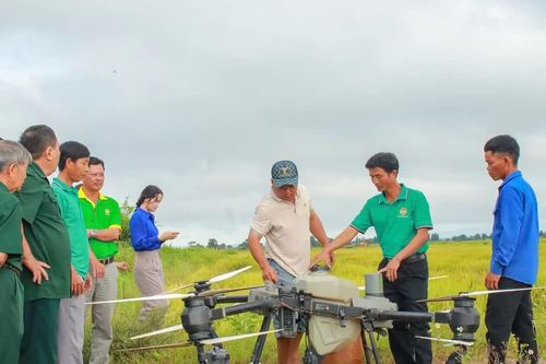 Gia Lai: Đưa máy bay không người lái xuống đồng ruộng, mở hướng làm nông nghiệp hiện đại