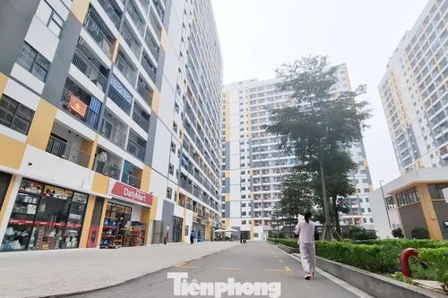 Công bố bán hàng nghìn căn nhà ở xã hội, giá từ hơn 12 triệu đồng/m²