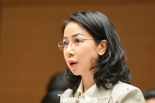 Trải thảm đỏ đón 'đại bàng', tạo điều kiện để hàng triệu 'chim sẻ' lớn mạnh