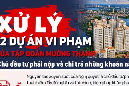 Xử lý 12 dự án vi phạm của Tập đoàn Mường Thanh: Chủ đầu tư phải nộp và chi trả những khoản nào?