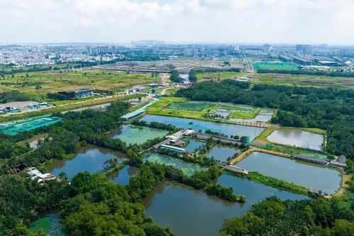 TPHCM xem xét đưa 147 khu đất thí điểm làm nhà ở thương mại