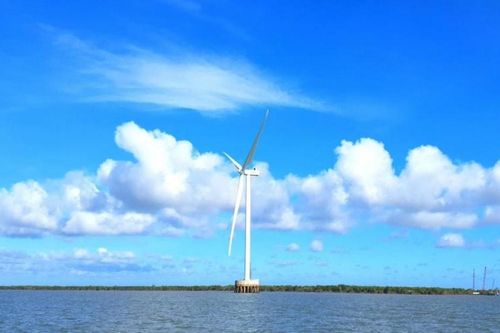 Hậu biến cố Chủ tịch bị khởi tố, DN ngành điện bứt phá nhờ lãi đậm, tiền mặt lớn