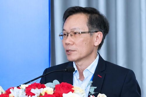 Giáo sư người Việt được bầu làm viện sĩ chính thức Viện Hàn lâm châu Âu