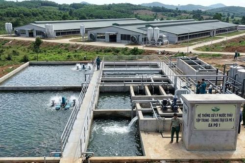 Vi phạm về xử lý chất thải, Công ty NCB Việt Nam bị xử phạt 100 triệu đồng