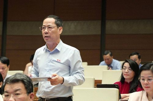 Đại biểu Trần Nhật Minh: Cần cơ chế xử lý tài sản trên đất tại các dự án chậm tiến độ