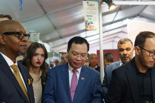 Việt Nam thúc đẩy quan hệ hợp tác nhiều mặt với tỉnh Constantine của Algeria