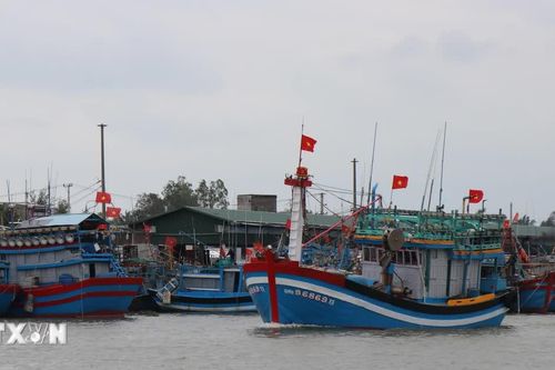 Quảng Ngãi siết chặt quản lý đội tàu cá, quyết liệt ngăn chặn vi phạm IUU