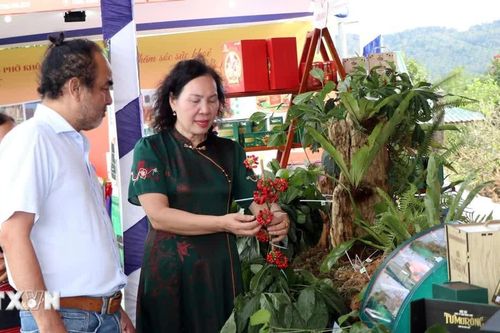 Quảng Ngãi: Khai mạc Lễ hội sâm Ngọc Linh và phiên chợ hàng Việt về xã Măng Ri