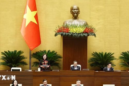 Hỗ trợ phát triển doanh nghiệp nhỏ và vừa đúng đối tượng, gắn với an sinh
