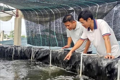 Động lực để nông dân xứ Nghệ chuyển mình mạnh mẽ