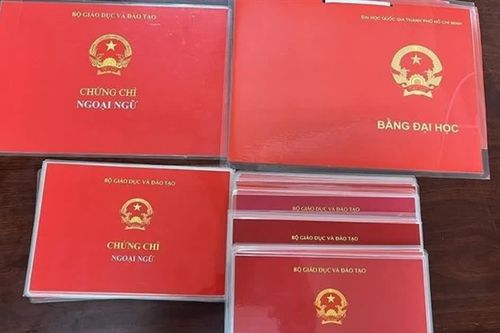 Quảng Ninh: Rà soát hồ sơ cán bộ, công chức, xử lý văn bằng giả