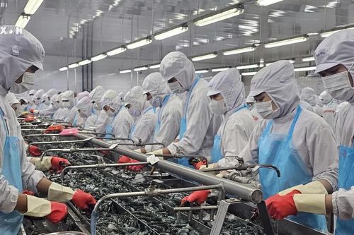 Mở rộng hợp tác công nghệ từ nền tảng Hiệp định VIFTA