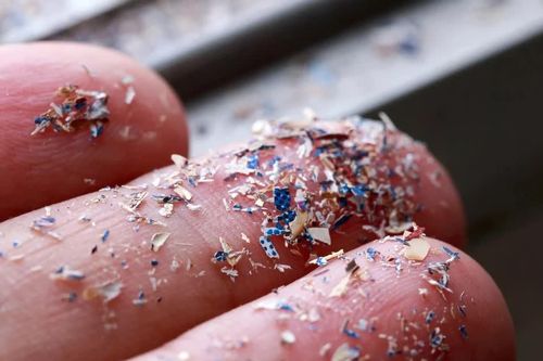 Phát hiện cơ chế tiềm ẩn khiến vi nhựa có thể gây tổn thương cho cơ thể