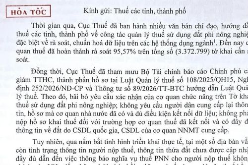 Cục Thuế yêu cầu chuẩn hóa dữ liệu, gỡ vướng về thuế đất