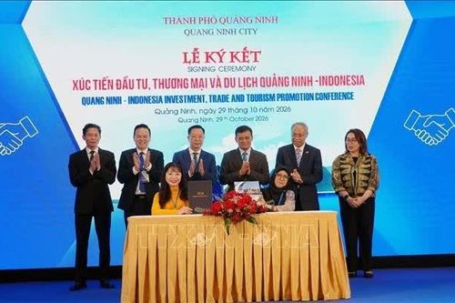 Quảng Ninh thúc đẩy hợp tác toàn diện với các đối tác Indonesia