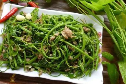 Loại rau dại có tên 'bốc mùi' nhưng là vị thuốc hỗ trợ tiêu hóa và giải độc