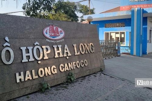 Sau vụ heo nhiễm dịch, Đồ hộp Hạ Long kinh doanh ra sao?