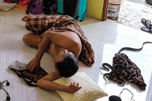 Rắn bò đến gần người đàn ông đang ngủ trưa và cái kết thót tim