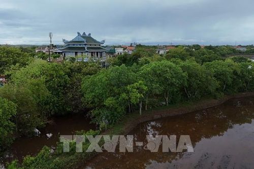 Rừng mưng trăm tuổi kể chuyện làng cổ xứ Huế