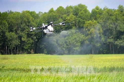 Tây Ninh đặt mục tiêu tăng trưởng nông nghiệp từ 4% năm 2026