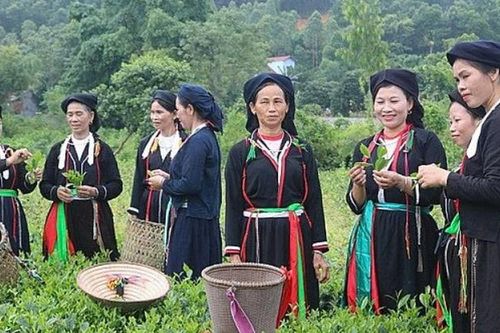 Thái Nguyên tập trung nguồn lực phát triển vùng đồng bào dân tộc thiểu số và miền núi