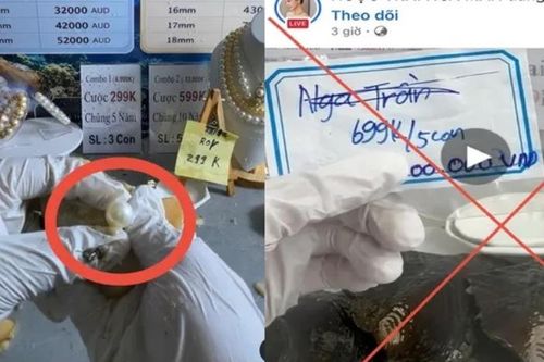 Cảnh giác lừa đảo qua livestream khui ngọc trai trúng thưởng