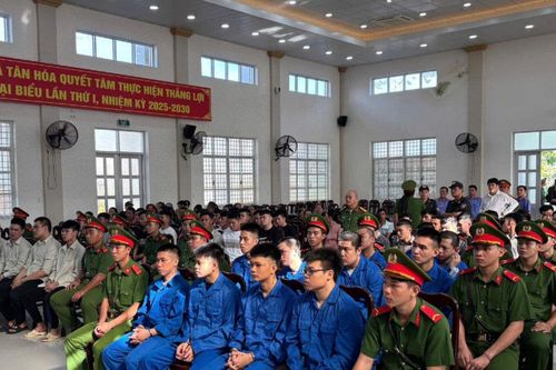 Cái giá cho hành vi coi thường pháp luật