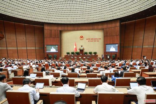 Lấy hiệu quả bảo vệ người tiêu dùng làm thước đo phân cấp