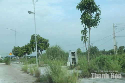 Tỷ lệ lấp đầy các mặt bằng đấu giá lẻ còn khiêm tốn