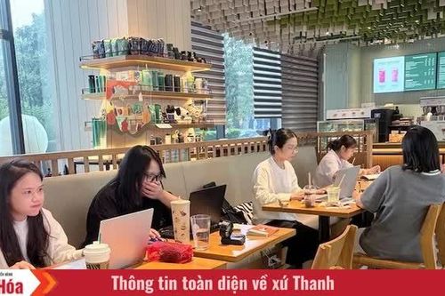 Xu hướng cà phê học bài của người trẻ