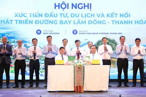 Tăng cường xúc tiến đầu tư, du lịch và kết nối phát triển đường bay Lâm Đồng - Thanh Hóa