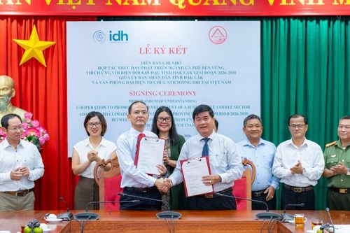 Đắk Lắk hợp tác với IDH phát triển 75.000 ha cà phê bền vững