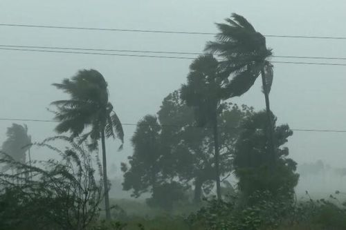 Bão Arnab tàn phá nặng nề đông nam Ấn Độ