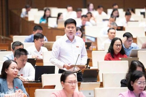 Đại biểu Quốc hội An Giang đề xuất gỡ vướng cơ chế thỏa thuận đất đai