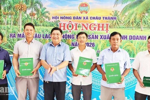 Châu Thành lập câu lạc bộ kết nối 30 nông dân sản xuất, kinh doanh giỏi