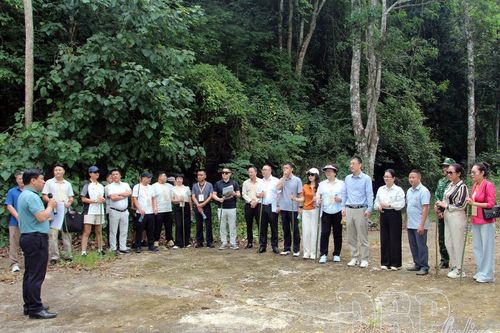 Phát triển du lịch, tạo động lực tăng trưởng