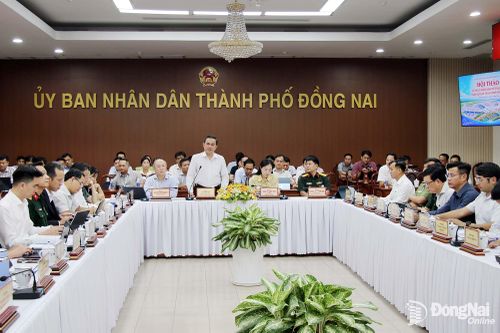 Định hướng, đề xuất phương án phát triển kinh tế tầm thấp tại Đồng Nai